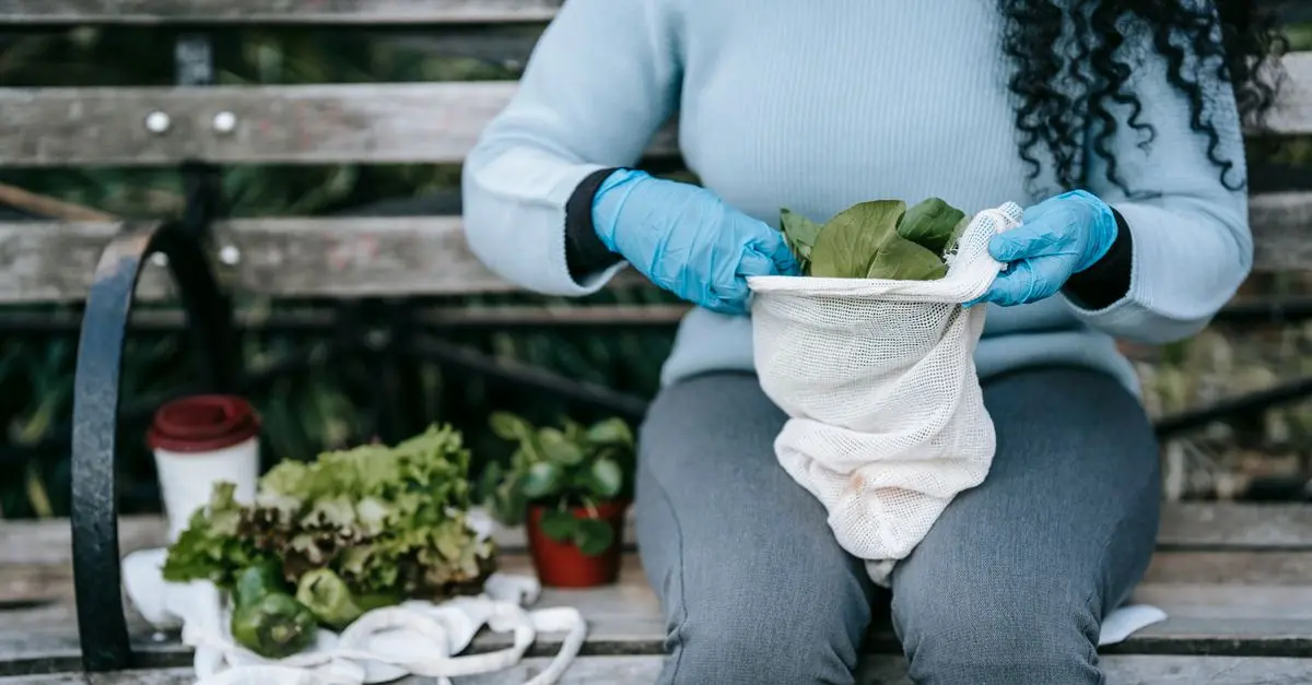 Comment intégrer l'écologie bio dans votre mode de vie quotidien