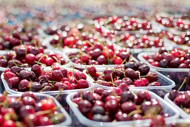 Comment choisir des aliments bio pour une santé optimale