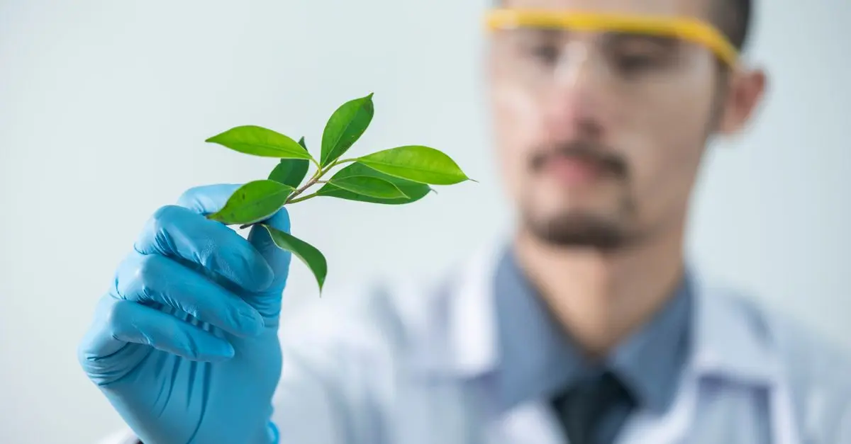 Évaluez votre impact environnemental avec ces outils