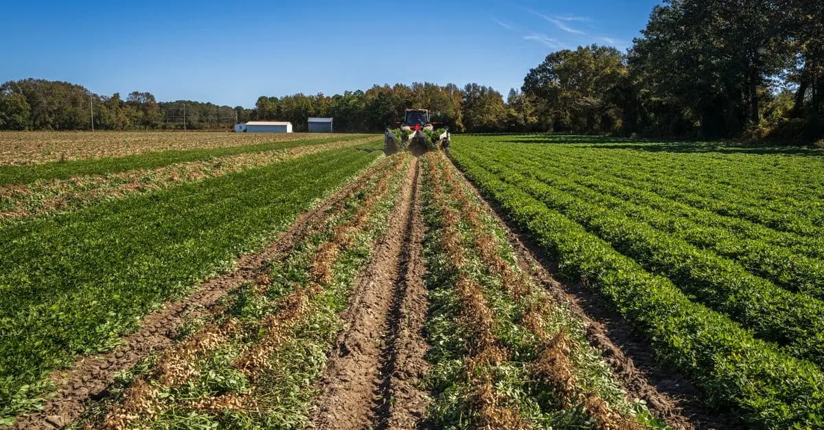 Les bienfaits surprenants de l'agriculture biodynamique