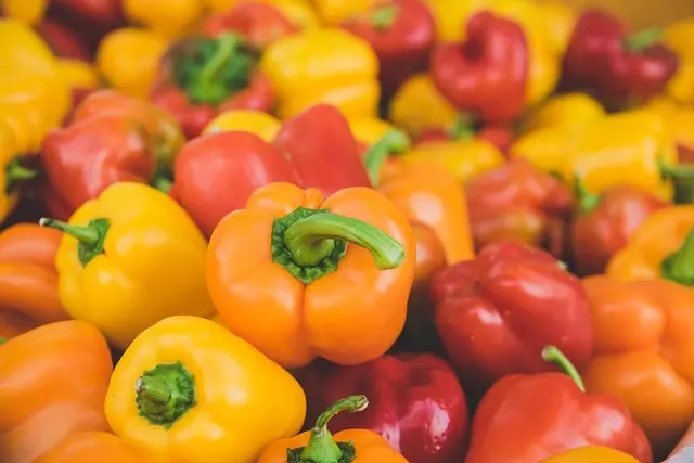 Pourquoi privilégier l'agriculture bio pour une alimentation saine