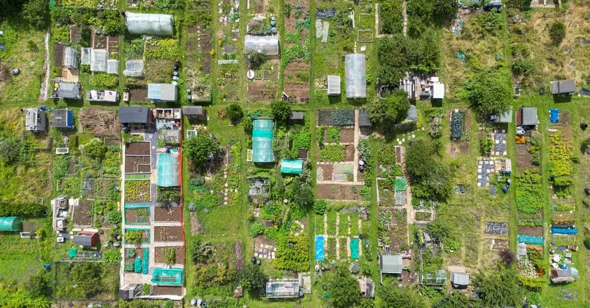 Les bienfaits de la permaculture pour votre jardin bio