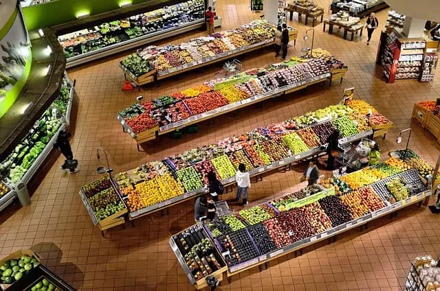 Comment choisir des produits bio pour une consommation éclairée