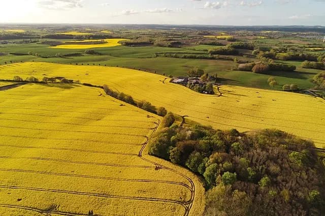 Les bienfaits de l'agriculture régénérative sur l'écologie bio
