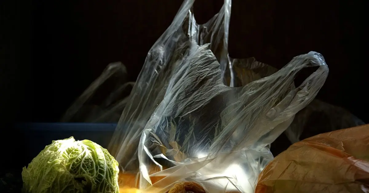 Comment choisir des produits bio pour une consommation responsable