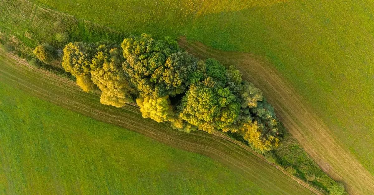 Comment l'agriculture biologique contribue à la préservation de la biodiversité