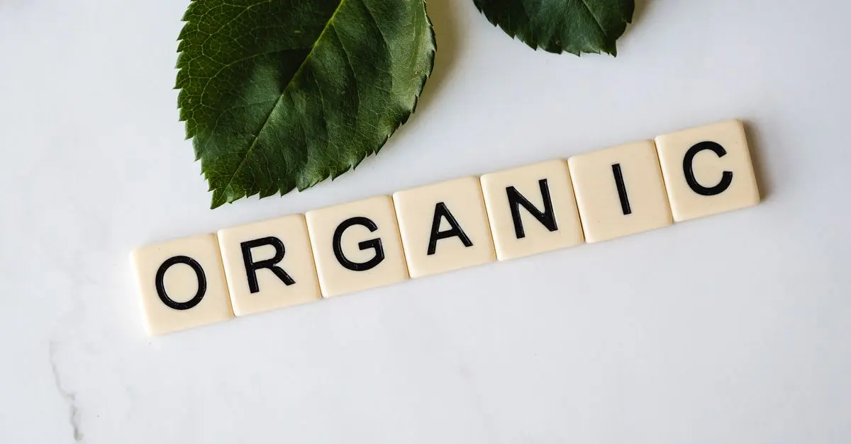 Les bienfaits cachés des produits bio sur l'environnement