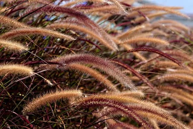 Comment intégrer l'écologie bio dans votre maison