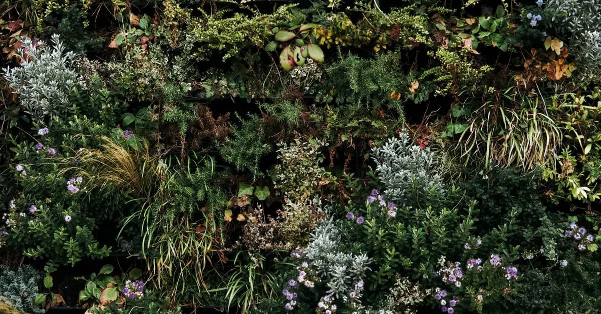 Les astuces pour réussir votre jardin bio en toute saison