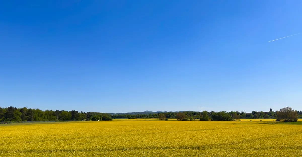 Les grands principes de l'écologie bio à connaître