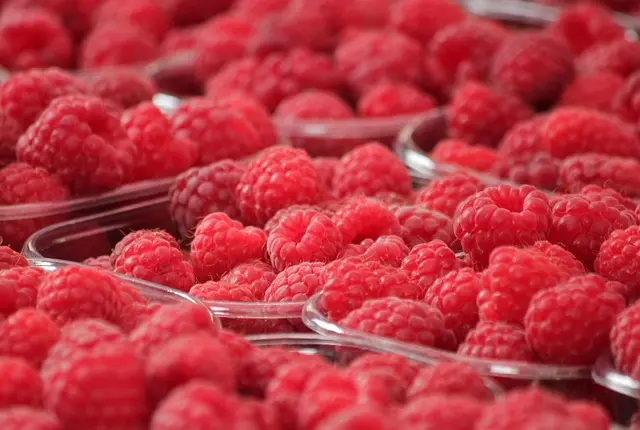 10 gestes simples pour une consommation bio au quotidien