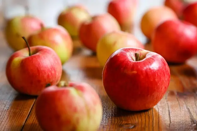 Les 10 meilleurs conseils pour pratiquer l'écologie bio au quotidien