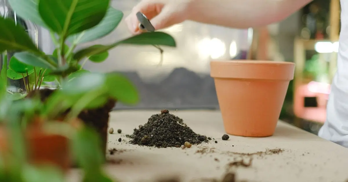 Comment choisir les bons engrais bio pour votre jardin
