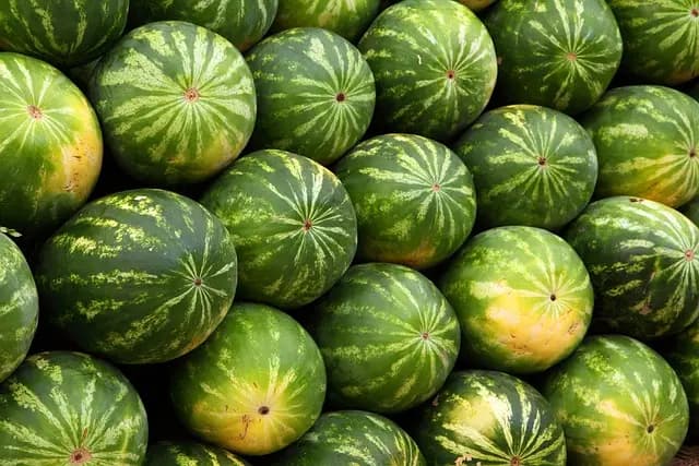 Les avantages de la consommation locale pour l'écologie bio
