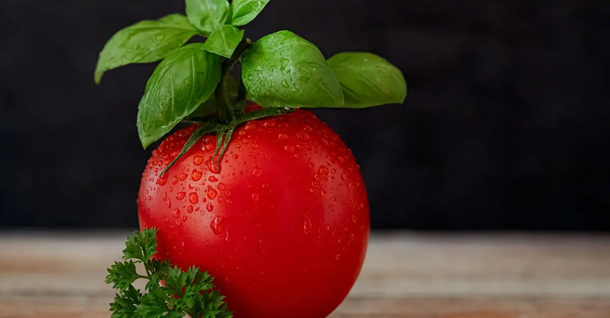 Les tendances écologiques en alimentation bio pour 2026