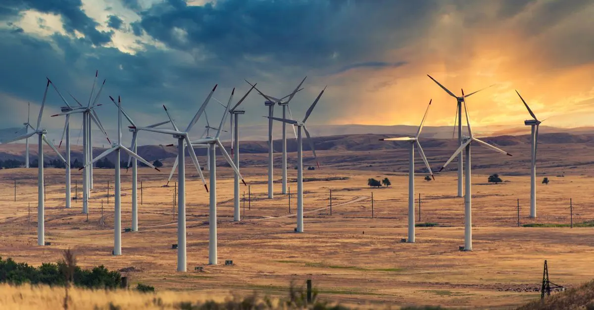 Analyse : le boom des énergies renouvelables