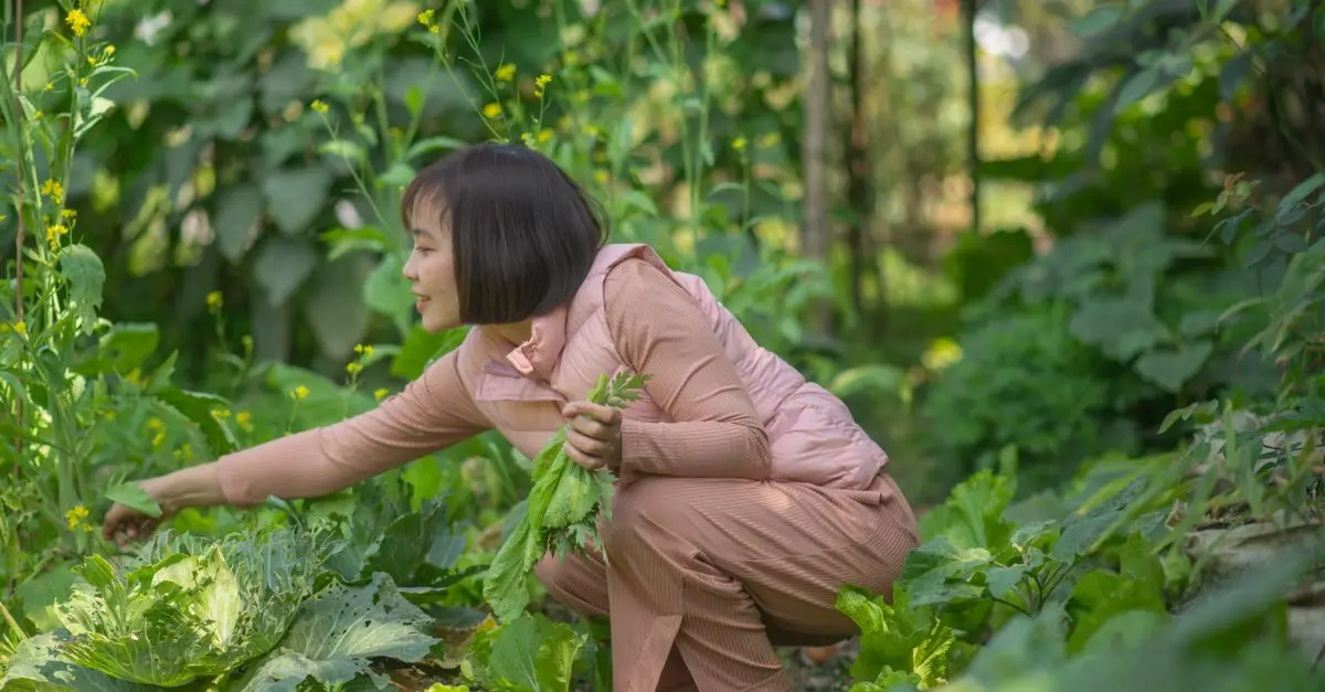 Comment réussir son jardin bio : conseils et astuces