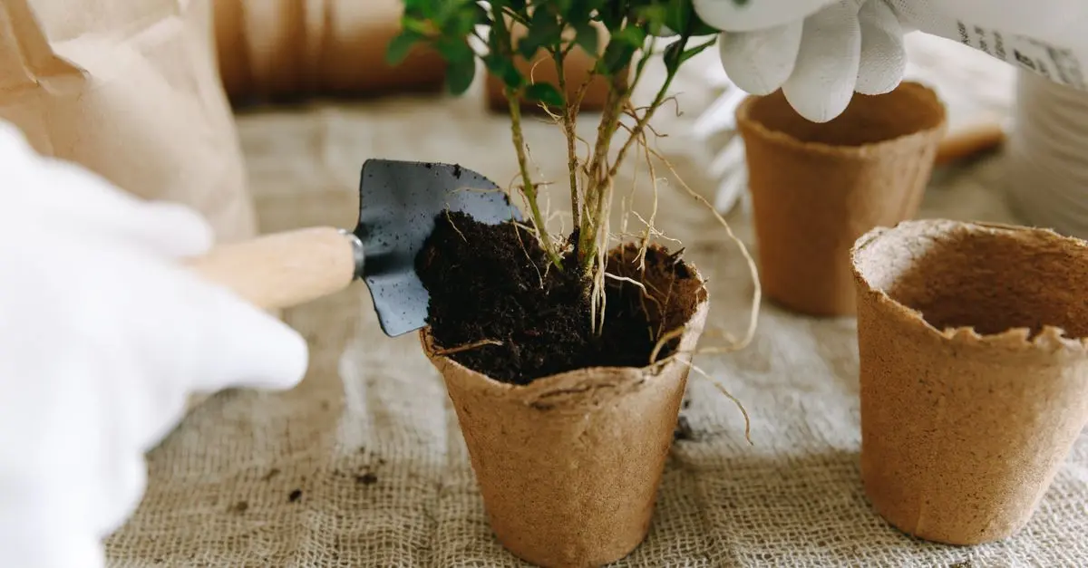 Les erreurs à éviter dans votre jardin bio