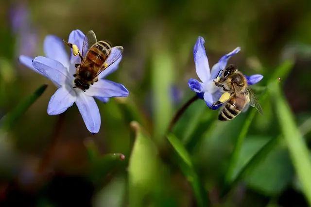 Comment transformer votre jardin en un écosystème durable