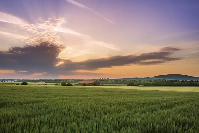 Les bienfaits surprenants de l'agriculture biologique sur la biodiversité