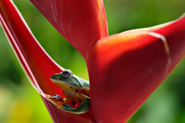 Les bases de l'écologie bio : comprendre ses principes essentiels