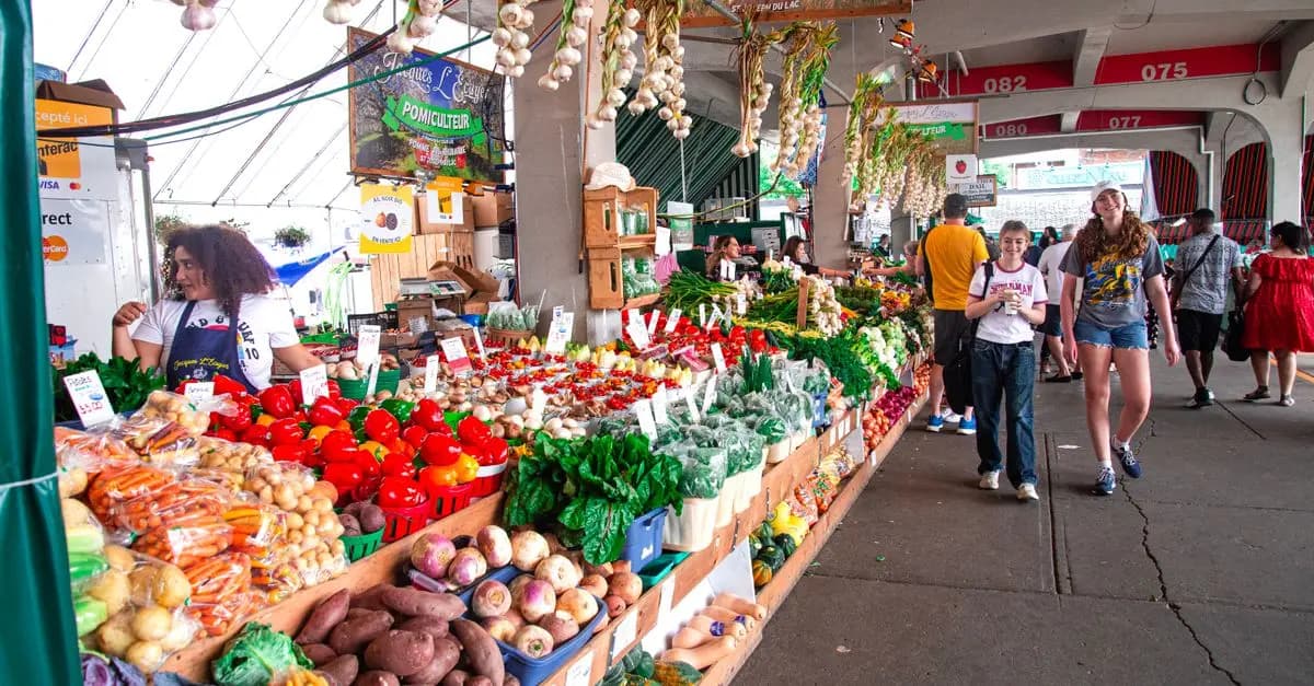 Comment choisir des aliments bio et locaux en toute confiance
