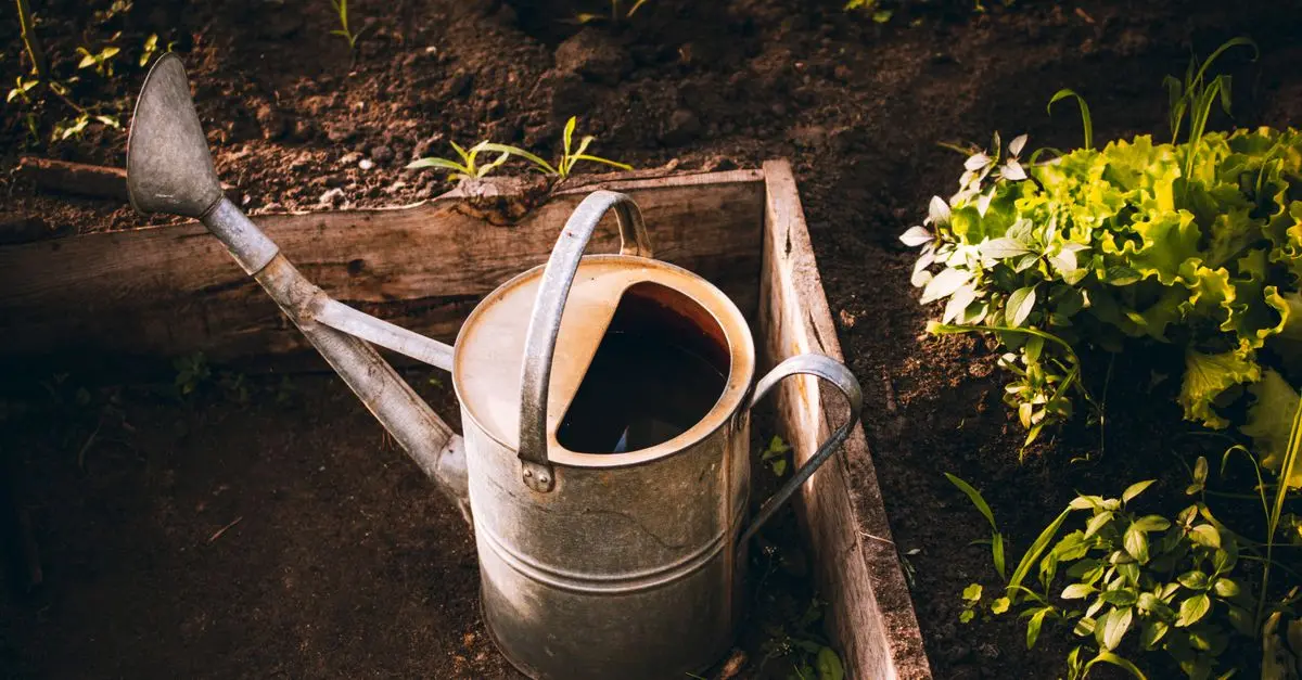 Les erreurs fréquentes en jardinage bio à éviter absolument