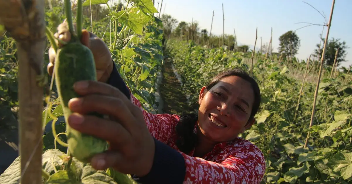 L'impact des produits bio sur la santé et l'environnement