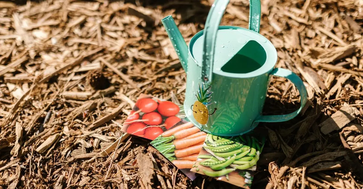 Comment bien choisir ses semences bio pour un jardin écoresponsable