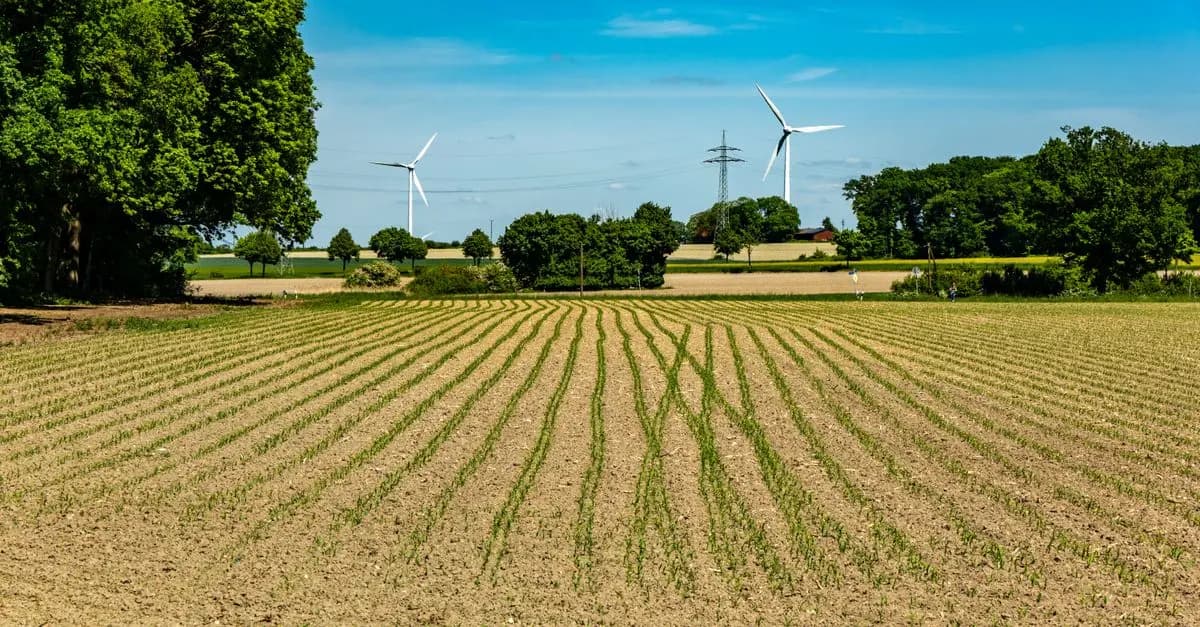 Les défis de la réglementation des biocarburants