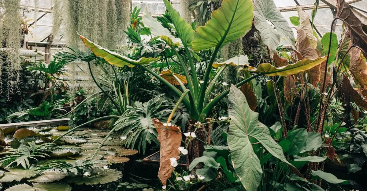Les meilleures pratiques pour un jardinage biologique réussi