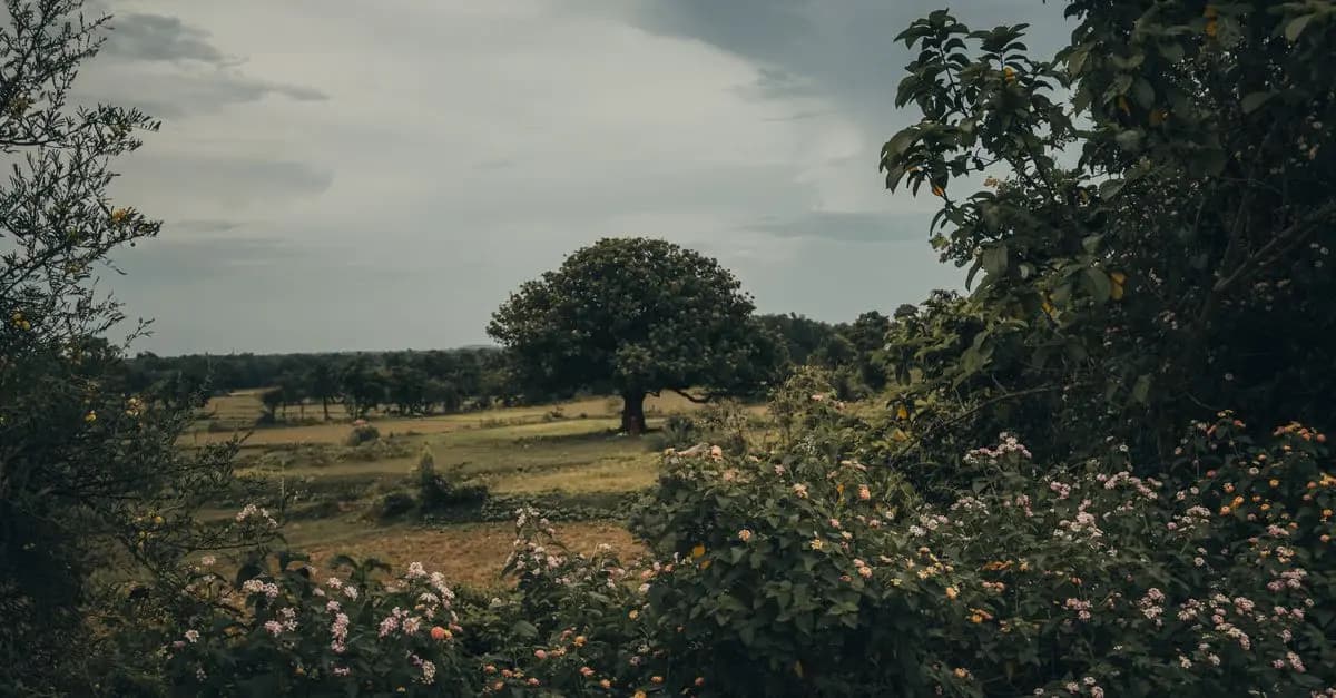 L'impact de l'écologie bio sur la biodiversité locale