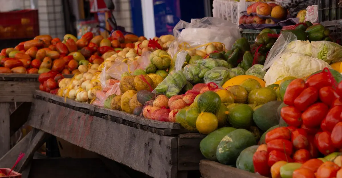 Comment l'écologie bio transforme notre manière de consommer
