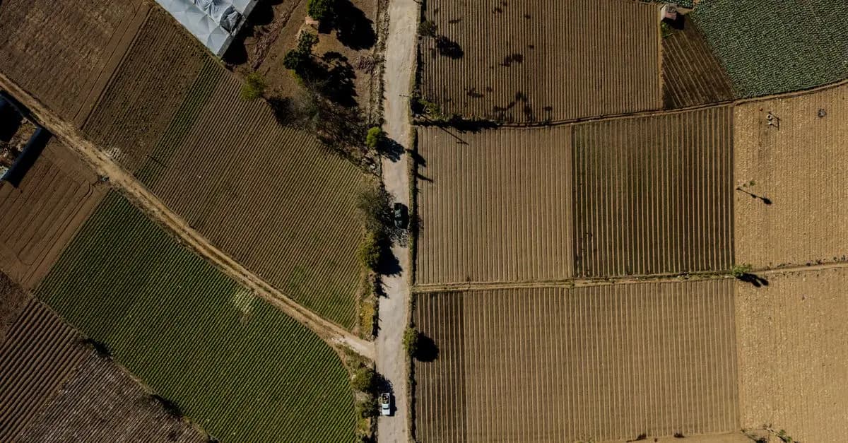 L'impact positif de l'écologie bio sur la biodiversité