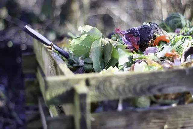 Comment choisir des engrais bio pour un jardin florissant