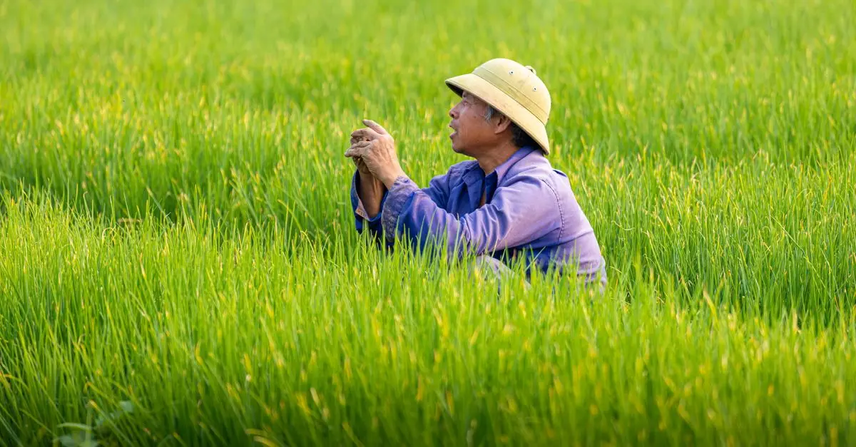 Les dernières tendances en agriculture bio pour 2026