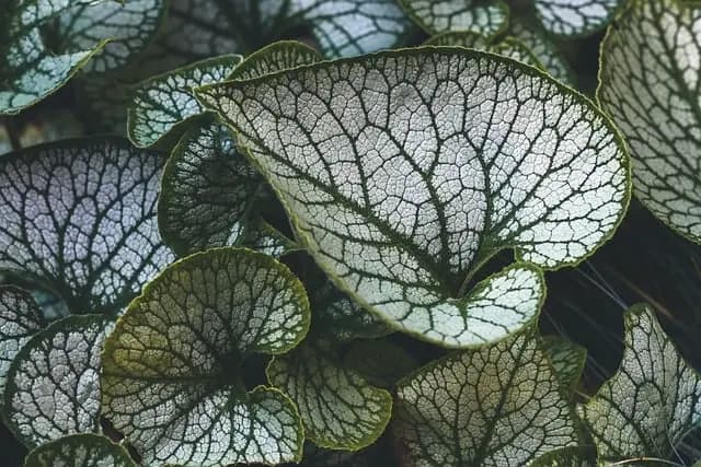 Comment créer un jardin bio en toute simplicité