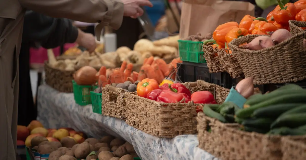 10 astuces pour intégrer l'écologie bio dans votre quotidien