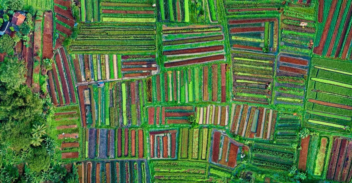 Les bienfaits de l'agriculture régénérative pour l'écologie bio