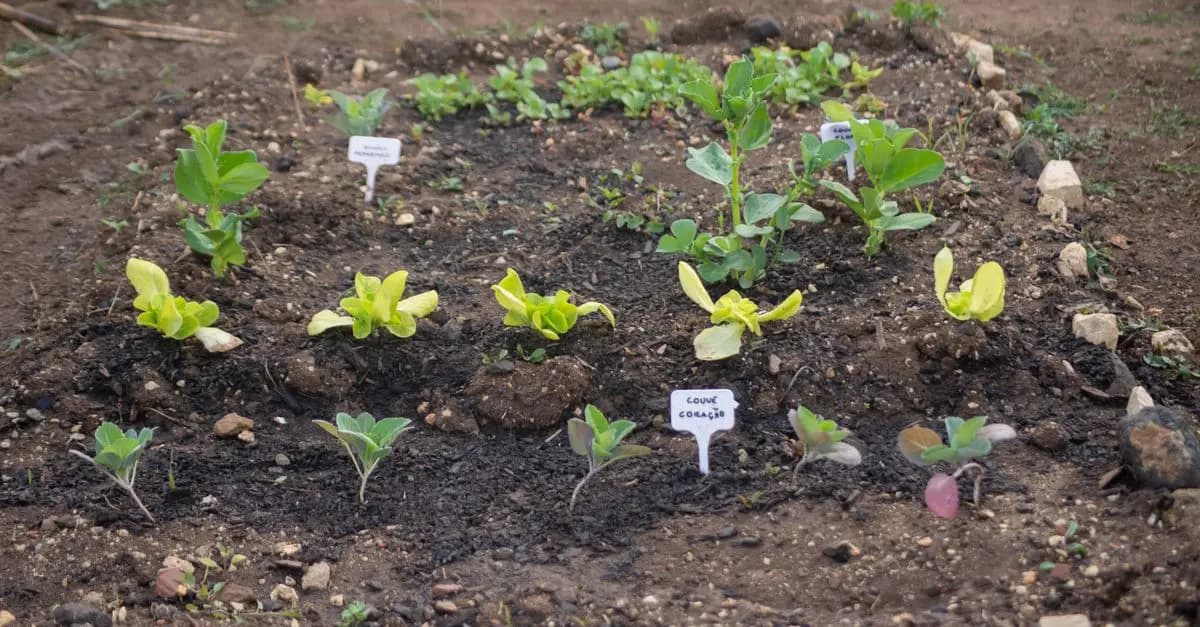 Qu'est-ce que la permaculture et pourquoi l'adopter
