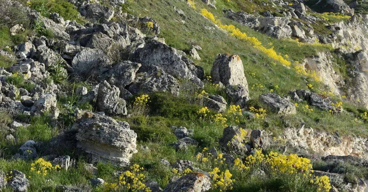 Les bienfaits de la biodiversité pour l'écologie bio