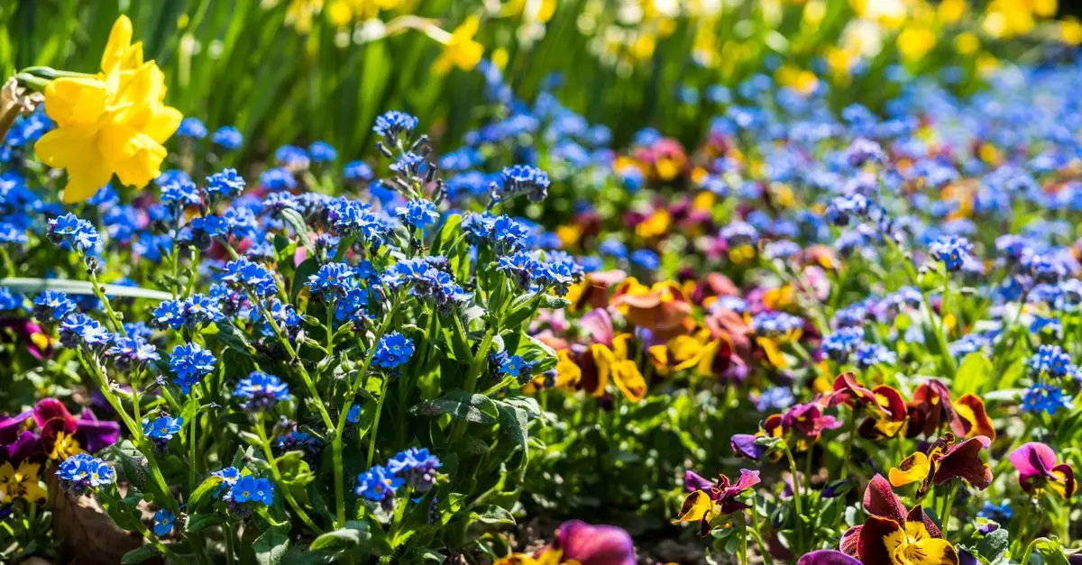 Comment favoriser la biodiversité dans son jardin