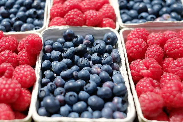 Guide pratique pour choisir des aliments bio et éthiques