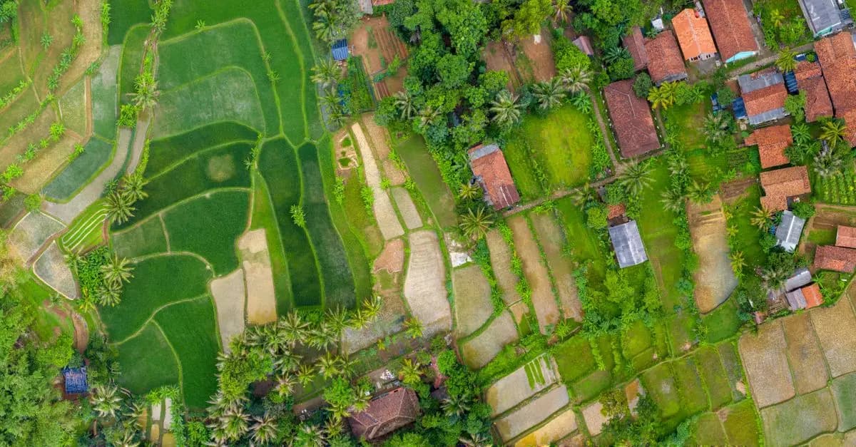 L'impact des pratiques bio sur la biodiversité locale