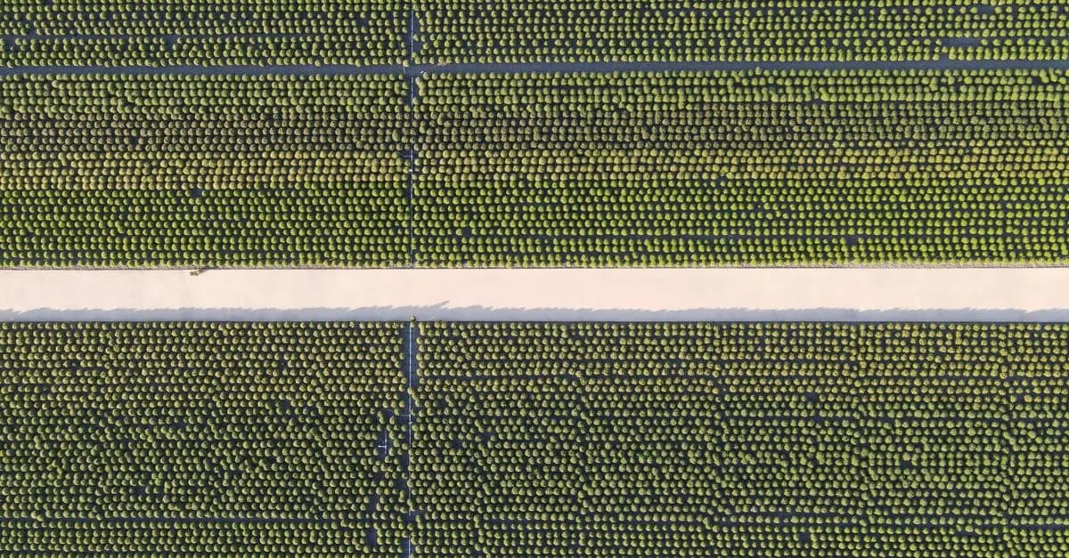 Les bienfaits de l'agriculture biologique sur l'environnement