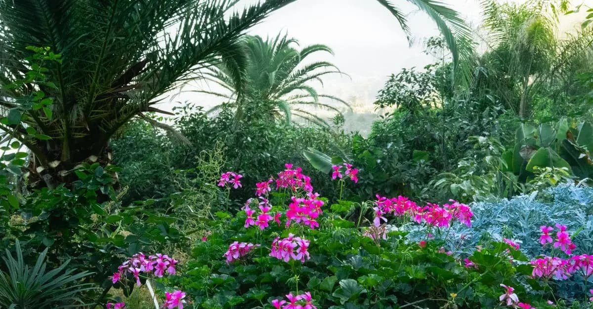 Comment réduire les pesticides dans votre jardin bio