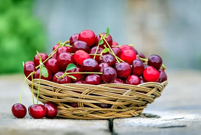 Comment choisir des cosmétiques bio : guide complet