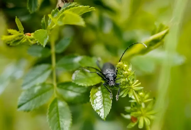 Comment créer un jardin bio productif et durable