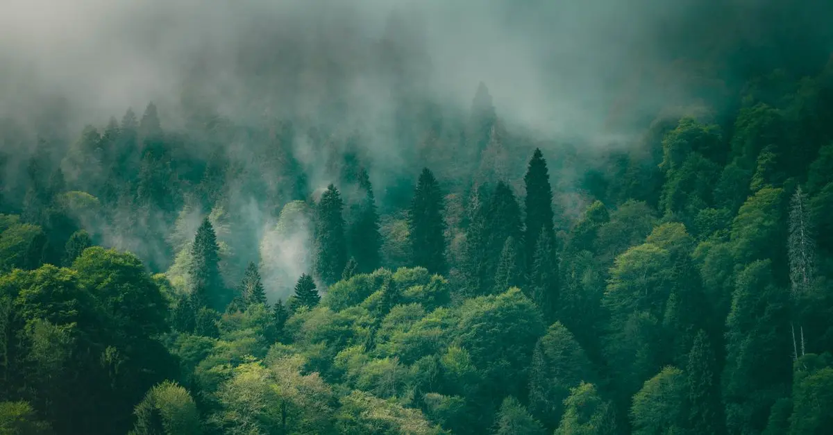 L'importance de la biodiversité pour l'écologie bio