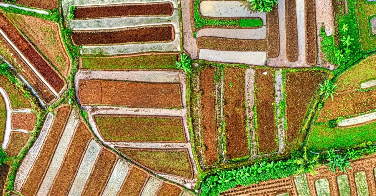 L'impact de l'agriculture bio sur la santé publique